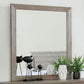 Vevey - Mirror