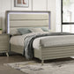 Rainier - E.King Bed