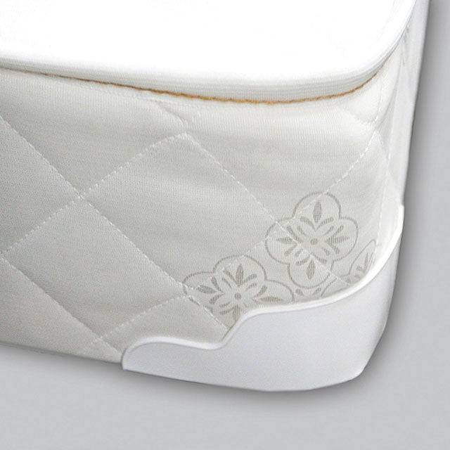 Daisy - 8" Queen Size