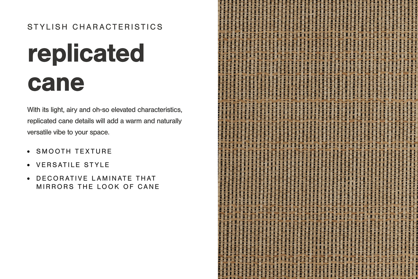 Cielden Queen Panel Bed with Mirrored Dresser and Nightstand