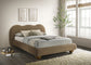 Finamore - Queen Bed