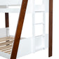 Delbin - Twin/Full Bunk Bed