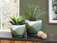 Juego de jardineras Ardenridge (2 unidades)